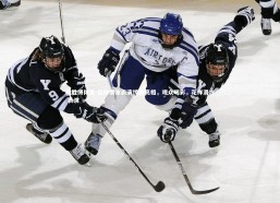 易胜博体育-花样滑冰表演惊艳亮相，观众喝彩，花样滑冰 表演